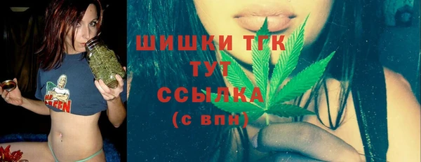 СК Медвежьегорск