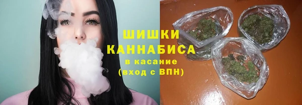 СК Медвежьегорск