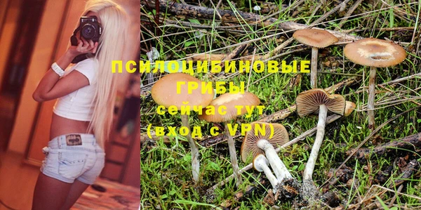 ГАЛЛЮЦИНОГЕННЫЕ ГРИБЫ Медногорск