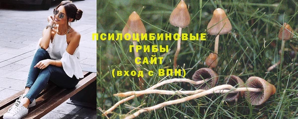 COCAINE Магас