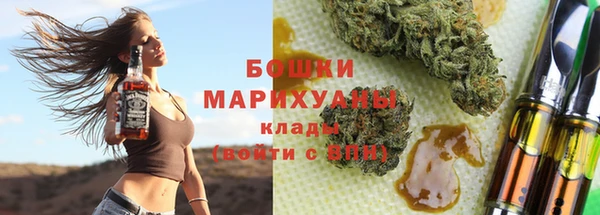 СК Медвежьегорск